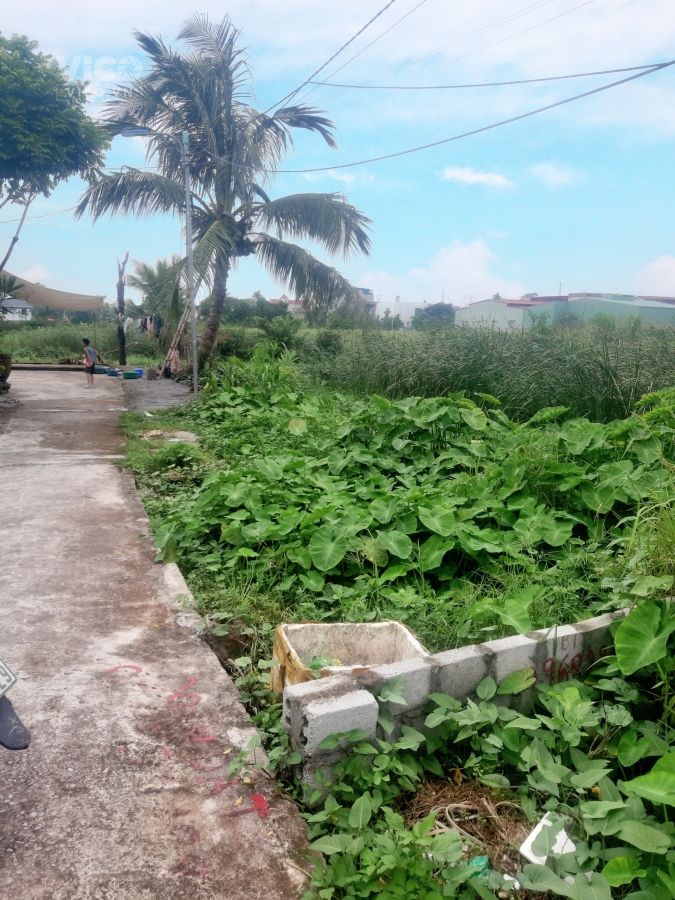 Lô đất 99m2 giá chỉ có hơn 1 tỷ tại Quý Kim, Hợp Đức, Đồ Sơn