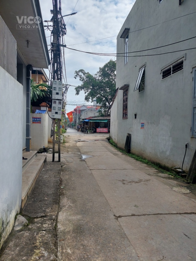 Bán đất tại Đường Thái Bình, Xã Mai Lâm, Đông Anh, Hà Nội diện tích 60m2