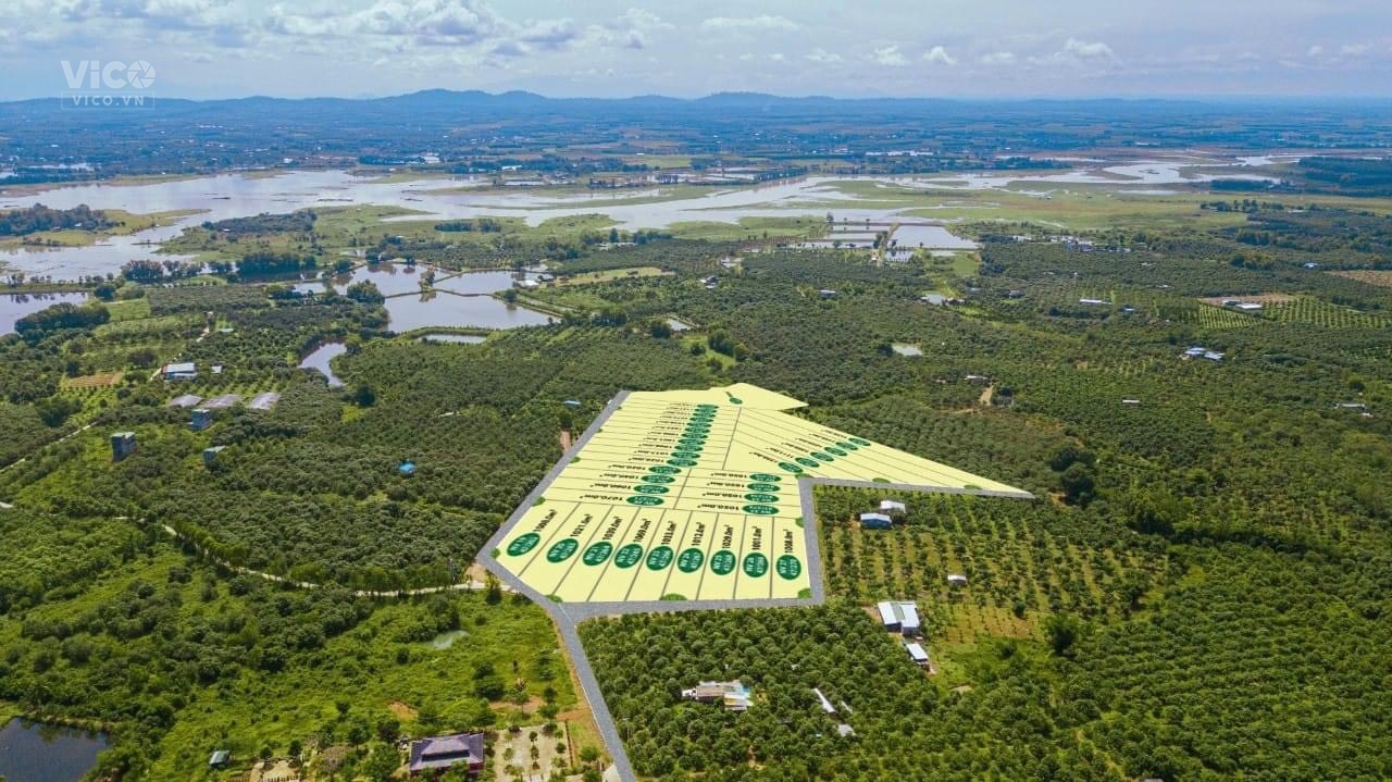 Đất vườn 1000m2 view hồ Trị An Định Quán Đồng Nai. 1,2 tỷ/ Nền