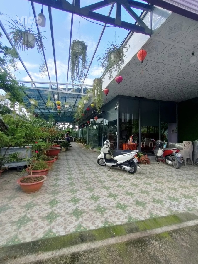 HXH Nguyễn Thị Thử 260m2 gần CV Cá Koi Nhật Bản