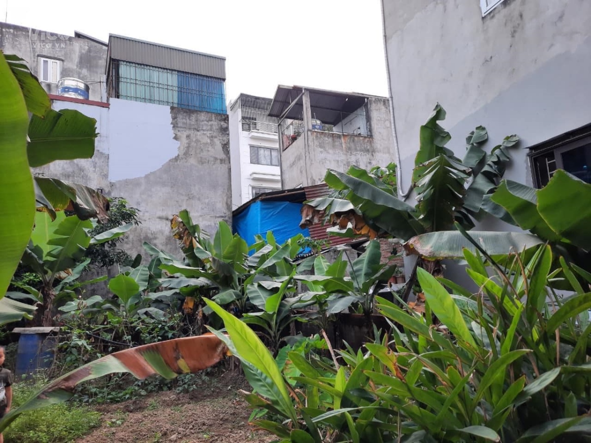 RẺ QUÁ! CHỈ 50 TR/1 M2 ĐẤT HOA LÂM ( LONG BIÊN ) DT 265M2, MT16M OTO ĐỖ NGÀY ĐÊM KHU DÂN