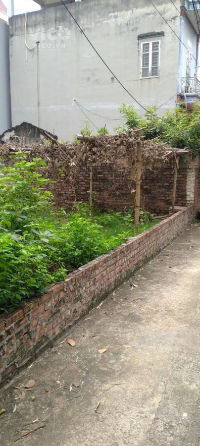 Chủ bán đất Uy Nỗ, Đông Anh, gần ôtô đỗ, tiện ích, giá nhỉnh 1 tỷ