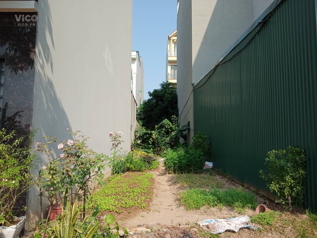 Bán đất dịch vụ Dương Nội, Hà Đông, 50m2, trục chính, 5.6 tỷ