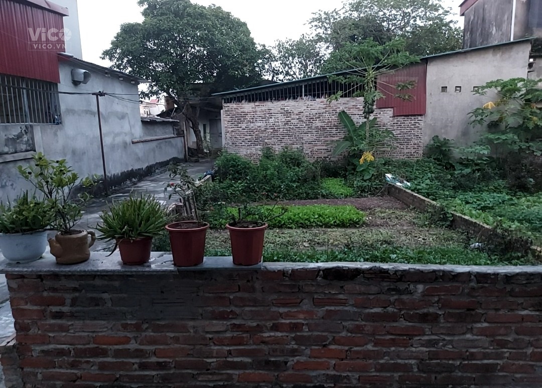 CC Xóm Đường Nguyên Khê Đông Anh 60m2 Lô Góc, Ô Tô 7 Chỗ Vào Đất, Chỉ Nhỉnh 2, x Tỷ