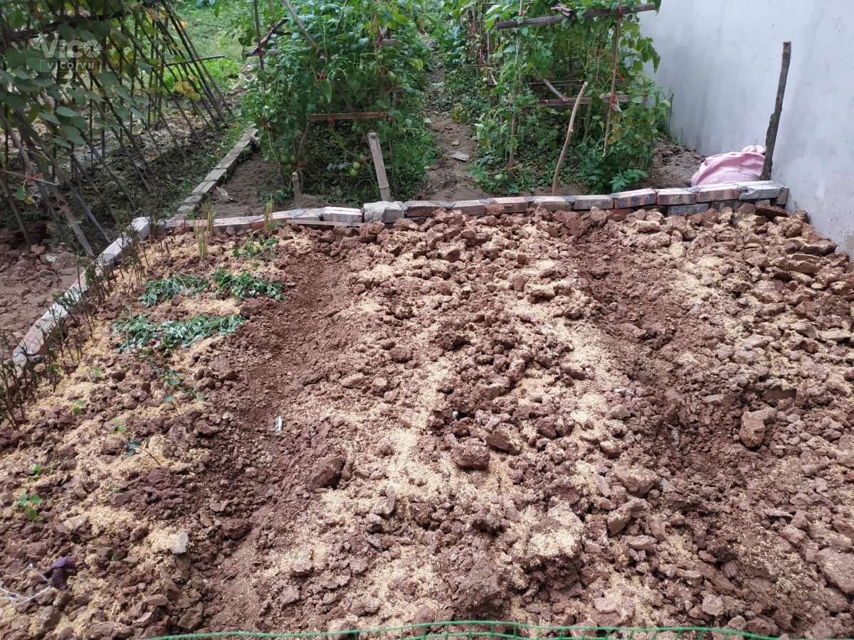 Bán Đất Quang Lãm, 38m2, Mặt tiền rộng, phố Xốm, Hà Đông, 1,85 tỷ