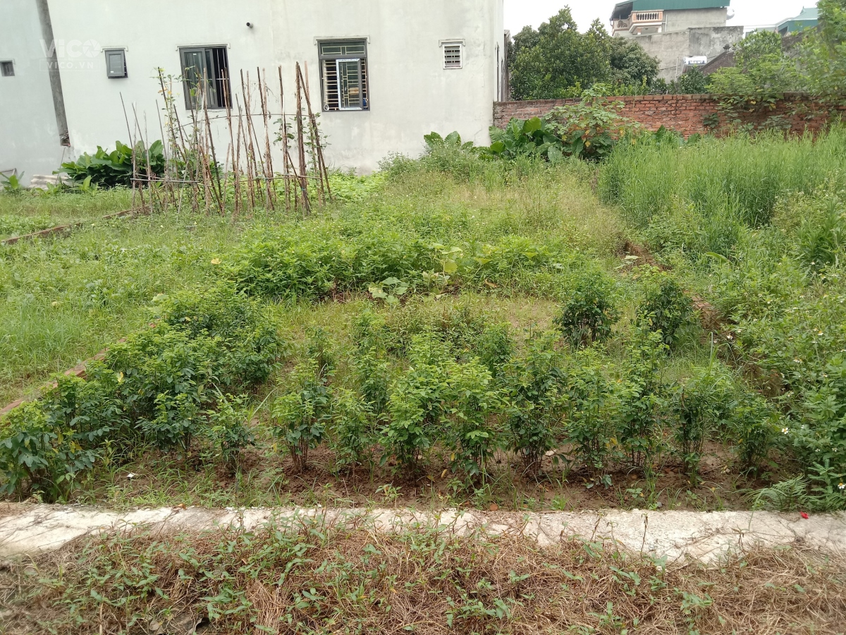 (Đất nền Đông Anh) Cần bán 64.2m2 giá 1.7 tỷ tại Lâm TiênNguyên KhêĐông Anh.