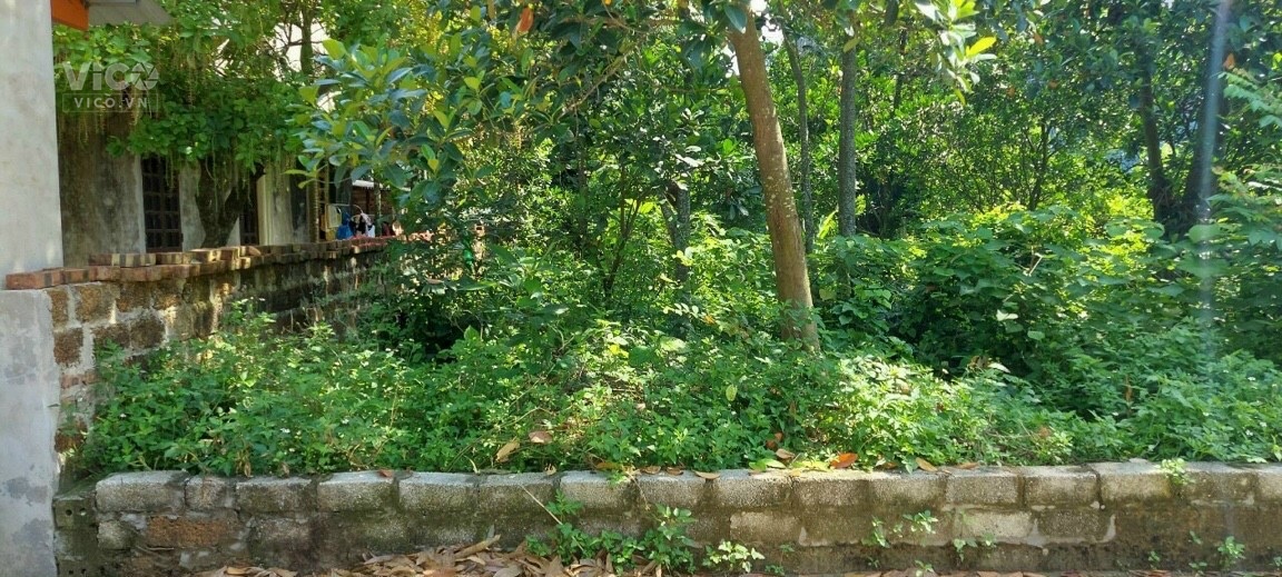 TRỤC CHÍNH THÔN 2 TÂN XÃ GIÁ NHỈNH 2 TỈ