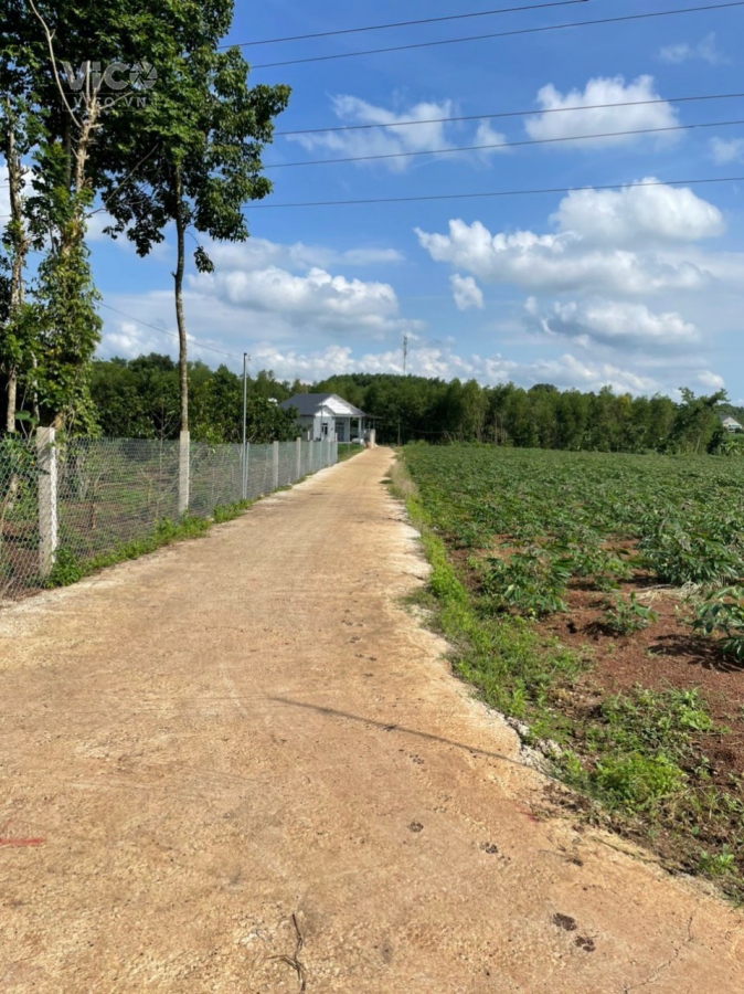 Sở Hữu Ngay Lô Đất Đẹp Vị Trí Đắc Địa Tại Xã Bàu Cạn, Huyện Long Thành, Đồng Nai