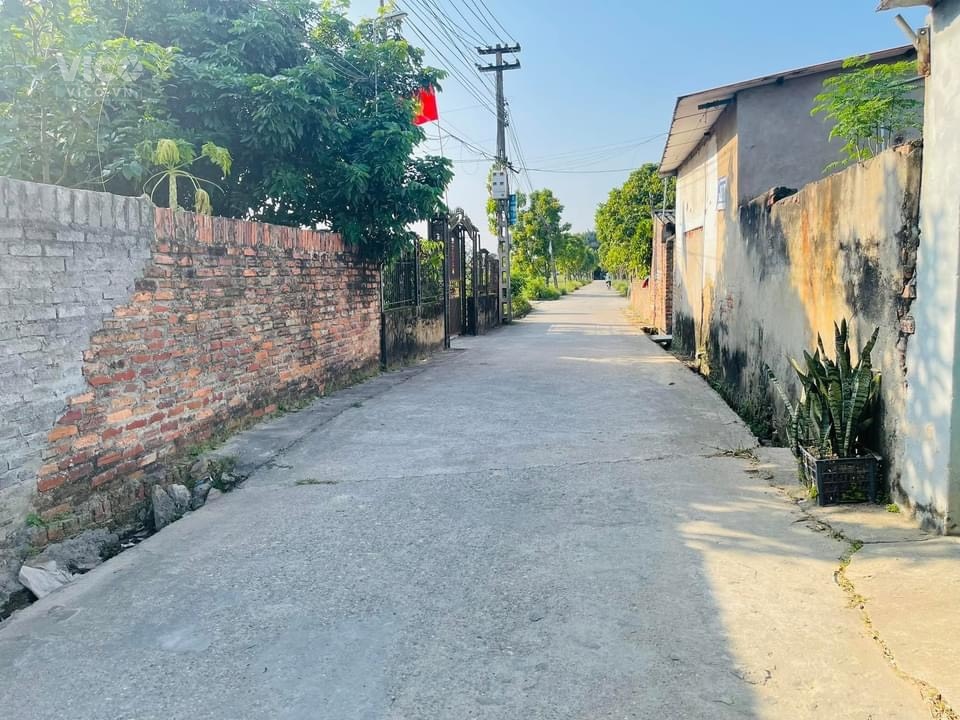 Siêu giá hạt rẻ Chỉ hơn 700Tr có ngay 1 trong 6 lô Full thổ cư, đường 3m sát KCN Nội Bài tại Quang