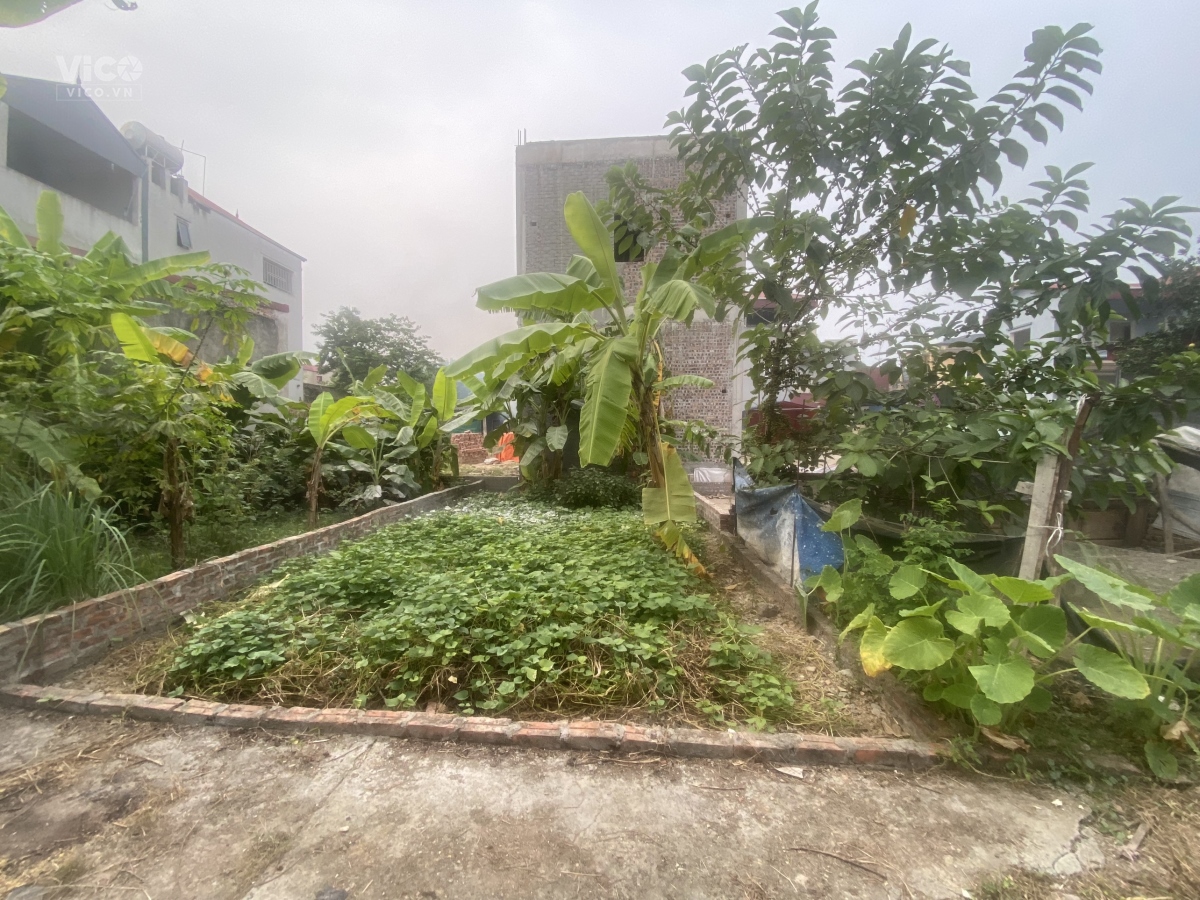 đất đông anh ,oto đỗ đất gần trường học , giá 1ty2. gọi em Lợi 0353073021. làm việc chính chủ