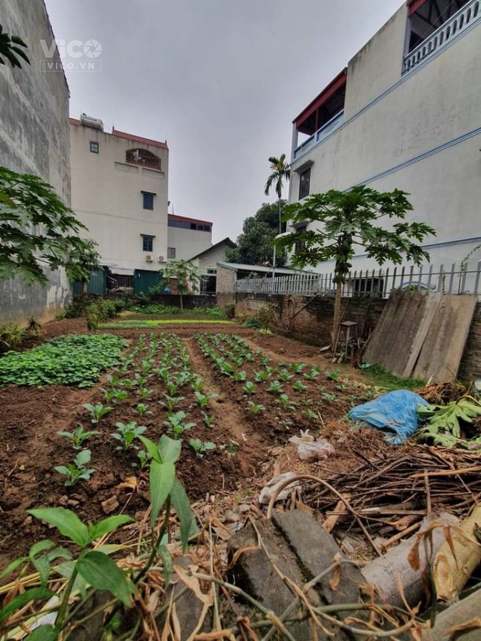 Bán đất đường Vành Đai Trong, Khu Tên Lửa, Bình Tân, 5x20