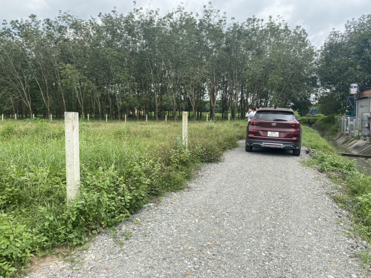 bán đất giá rẻ tại Thạnh Đức Gò Dầu