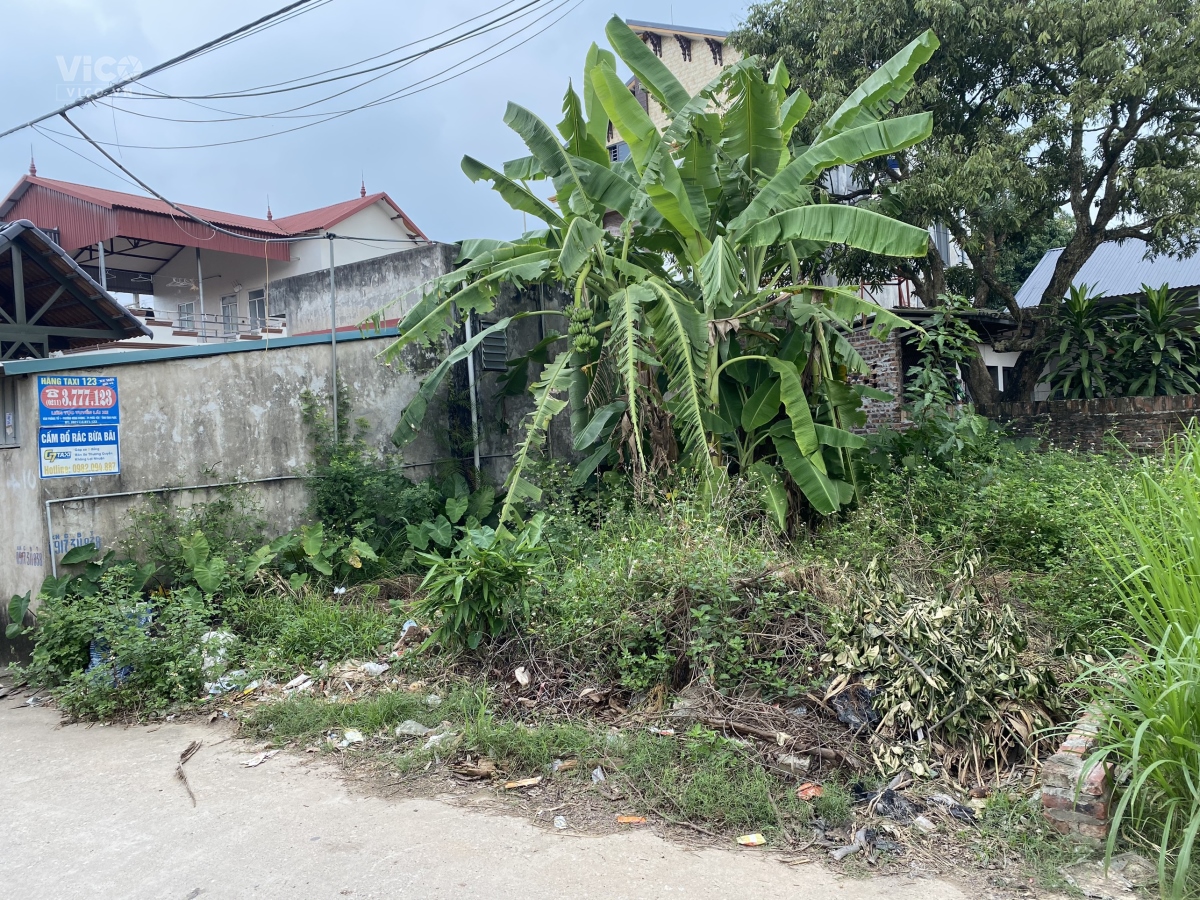 Đất đẹp Xuân Lễ Tân Dân Sóc Sơn Hà Nội mà 68m chỉ Nhỉnh tỉ, Đường oto tránh