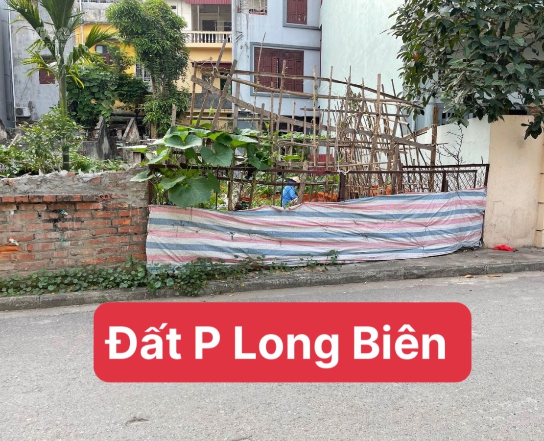 Đất Phường Long Biên, Tư Đình, phân lô CB, ô tô tránh, thông tứ phía, 107m, 84tr
