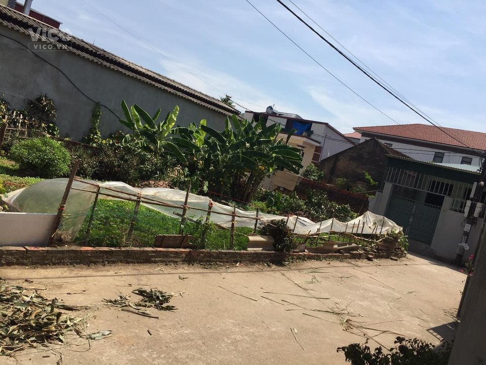 Chỉ 850tr có ngay (Hàng Đẹp) 52m tại xã Tân DânSóc SơnHà Nội