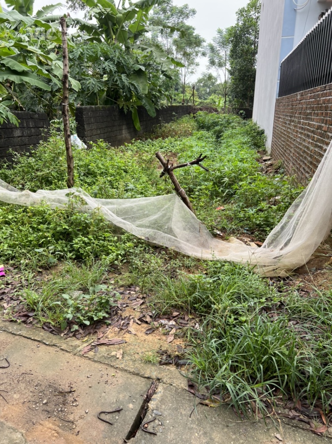 137M PHÚ HỮU TÂN XÃ, NGAY GẦN TRƯỜNG ĐH FPT VÀ CÔNG NGHỆ CAO