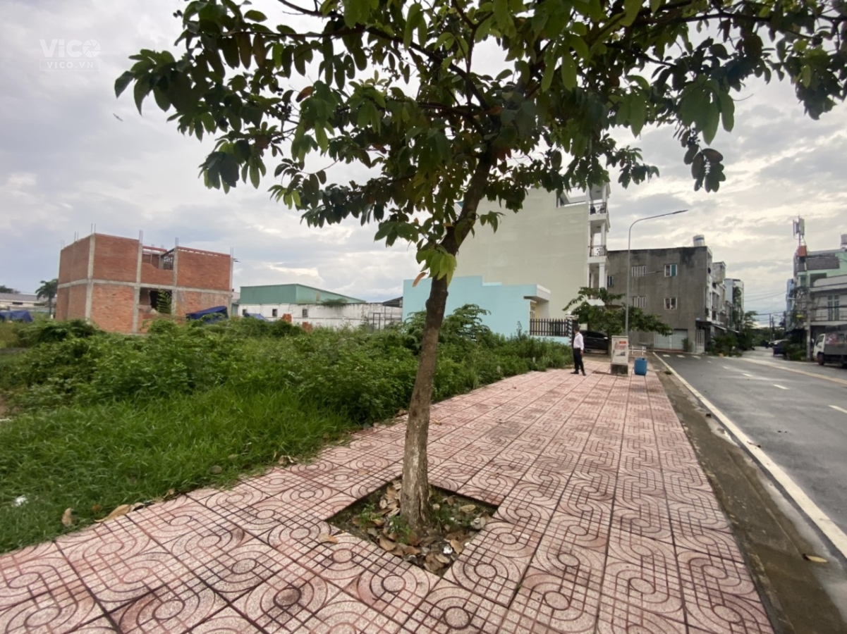 Bán gấp 840m2 đất thổ cư MT Tô Hiệu gần ngã tư Bốn Xã chỉ 87 tỷ
