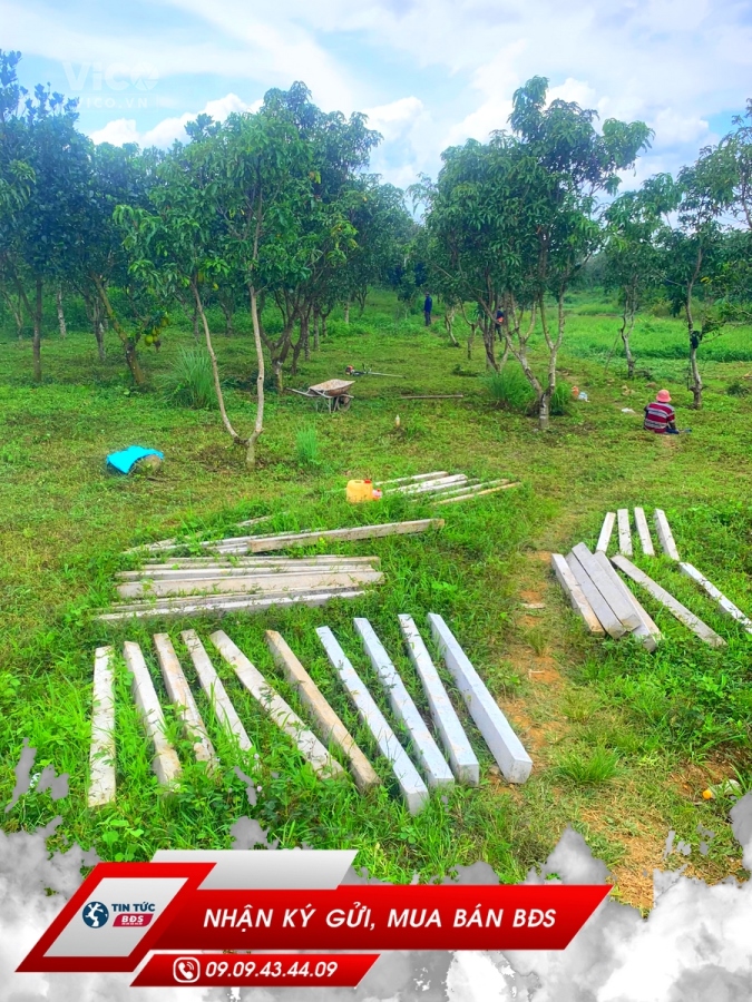 ĐỊNH QUÁN, VƯỜN CÓ AO VÀ SUỐI, ĐƯỜNG XE TẢI ĐT 0909434409