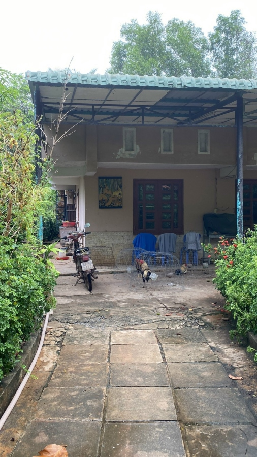 Hợp lý để đầu tư, 5tr.m2, diện tích 1500m2, Nhị Bình, Hóc Môn