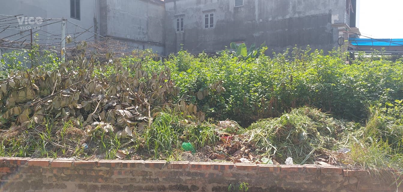 Bán ĐẤT Lương Nỗ, 46m2, 4,2m, chỉ 2.2 tỷ. Ô tô, Đông Anh.