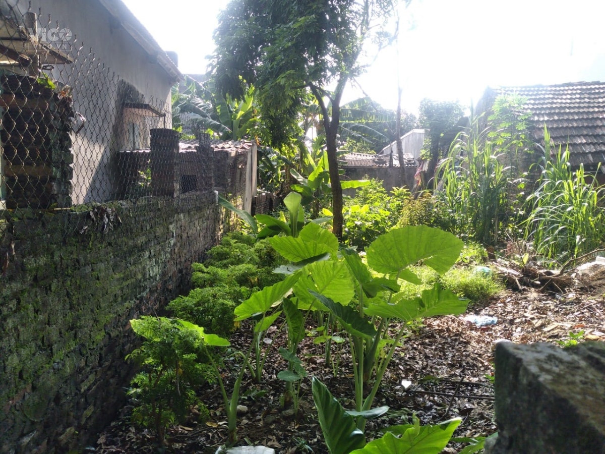 Cần bán GẤP Đất Du Nội, 154m2, 6.1m, 7.9 tỷ, Đông Anh.