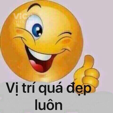 CẦN BÁN GẤP CĂN HỘ DỊCH VỤ VỪA HOÀN THIỆN CON THƠM MÙI SƠN NGAY TRUNG TÂM CHỢ THỦ ĐỨC