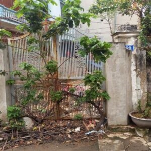 CHÍNH CHỦ BÁN GẤP ĐẤT SỐ 89 NGÕ 53 NGỌA LONG, MINH KHAI, BẮC TỪ LIÊM