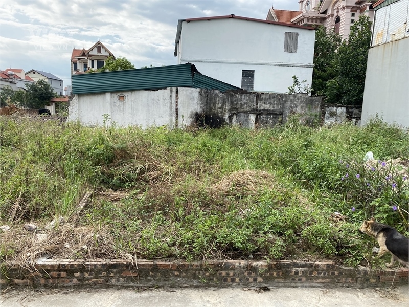 Đường 4.5m thông, vuông vắn 50m tại Bắc Hồng, Giá đầu tư 2xtr/m