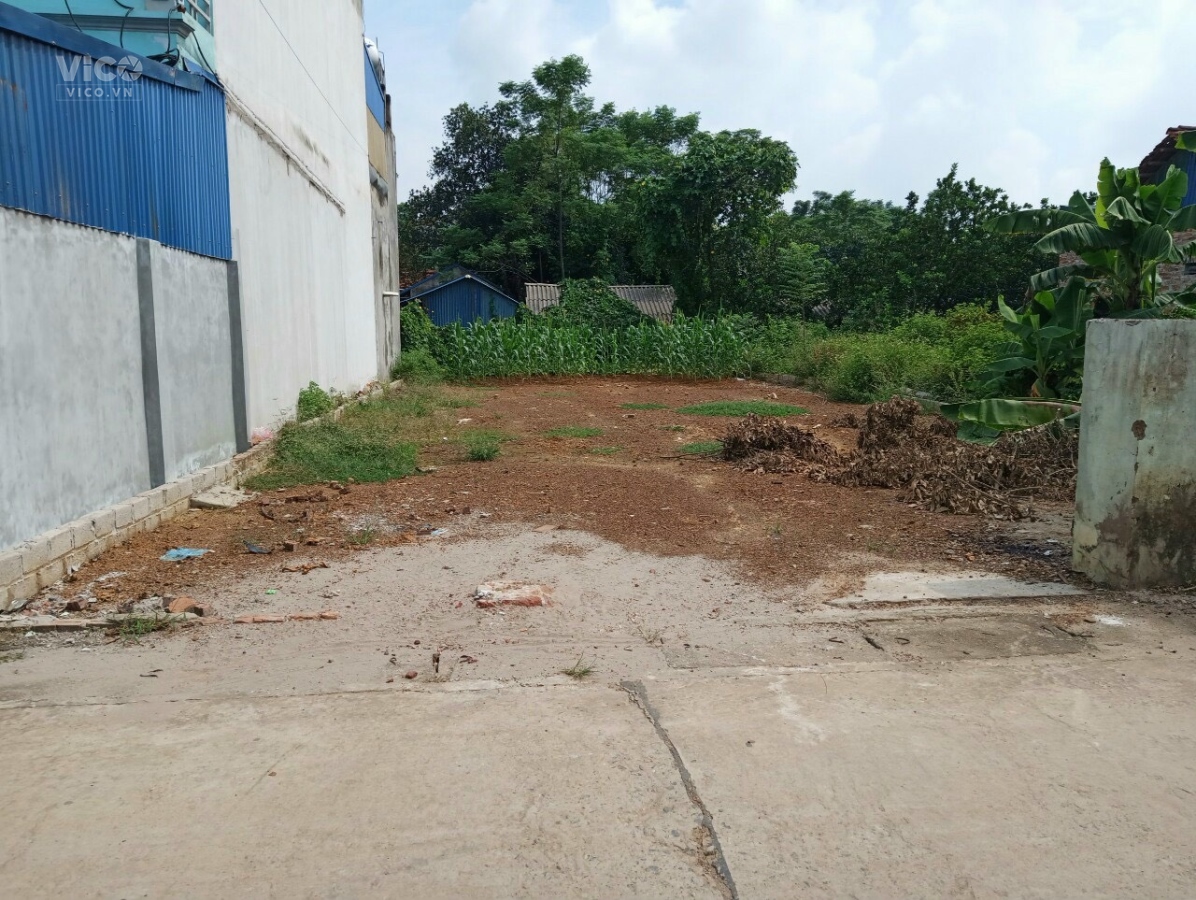 ĐÂT TÂN XÃ XÂY TRỌ GIÁ RẺ