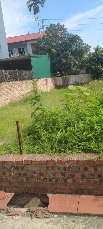 Chủ bán 95m đất Lương Quy, Đông Anh, ôtô, thông, nhỉnh 3 tỷ