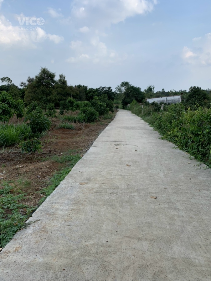 Chính Chủ Cần bán 4 lô đất tại Xã Sông Ray, H. Cẩm Mỹ. Đồng nai