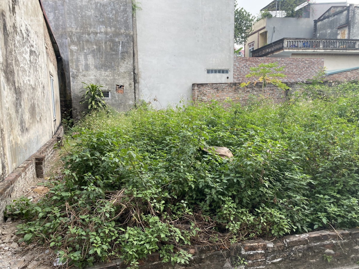 (Hàng Đẹp) Bán 42.8m Xóm 1Hải BốiĐông AnhHà Nội, Đường 3m thông thoáng