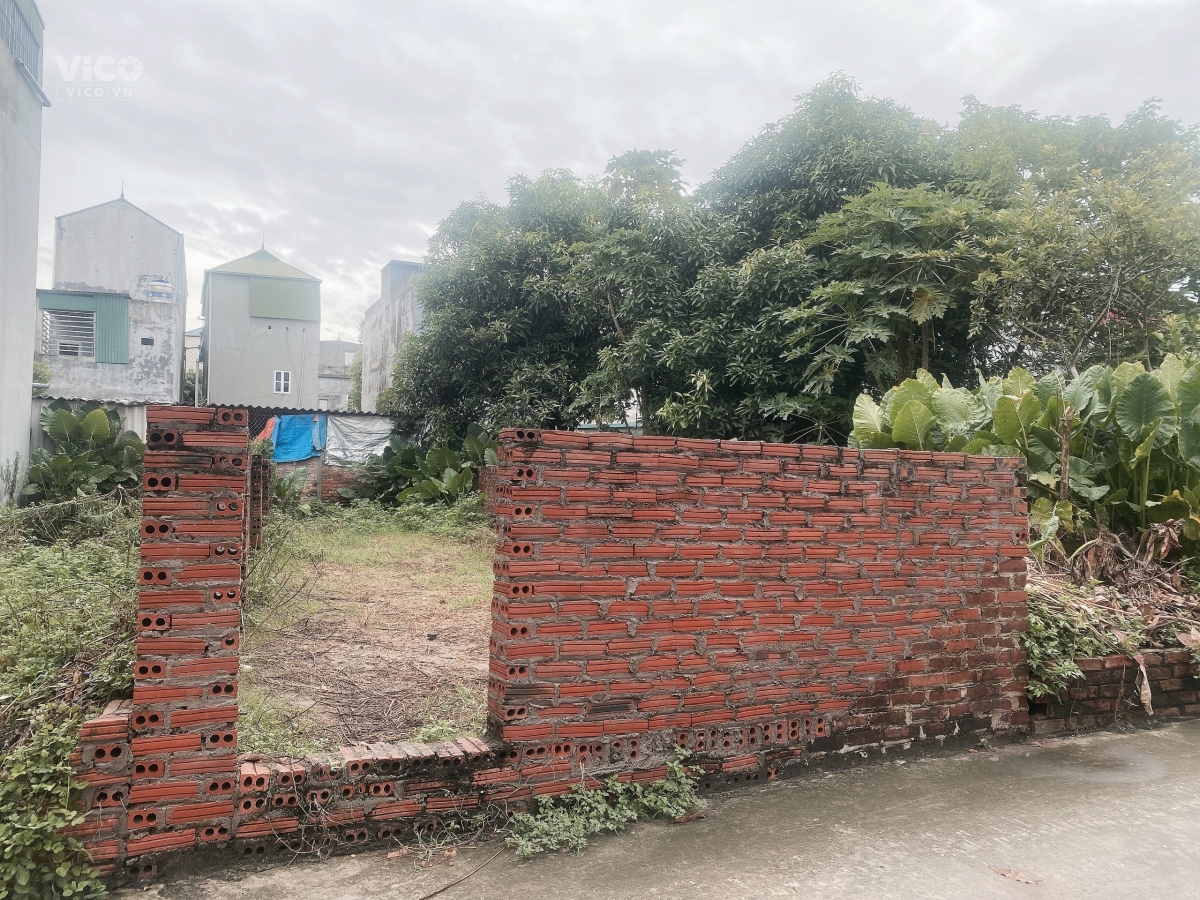 65,1m Lương Quy Xuân Nộn Đông Anh . đường rộng ngõ thông . bán cắt lỗ