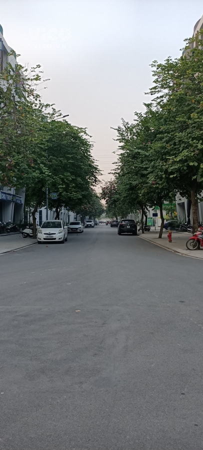 Bán Biệt thự liền kề KĐT Dịch Vọng, 100m, mt 6m, vừa ở vừa kinh doanh, 31 tỷ