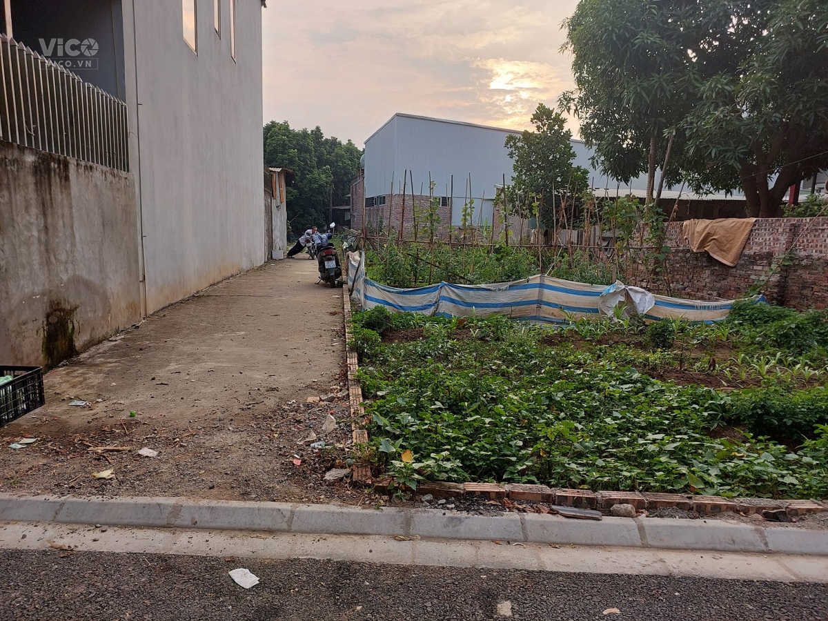 Bán ĐẤT thôn Nhuế, 45m2, mt6m, 1.77 tỷ, Đông Anh, nở hậu.