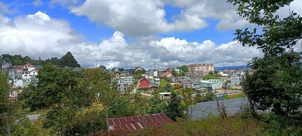 Cần bán gấp đất mặt tiền kinh doanh đường Nguyễn Hoàng, Đà Lạt 244m2 giá chỉ 12.5 tỷ