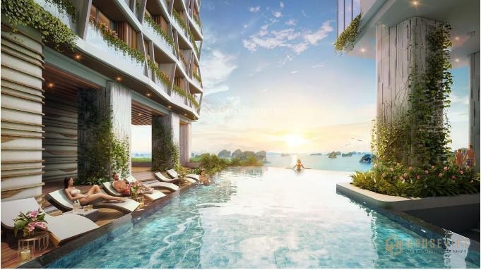 Tín hiệu tích cực từ phân khúc căn hộ