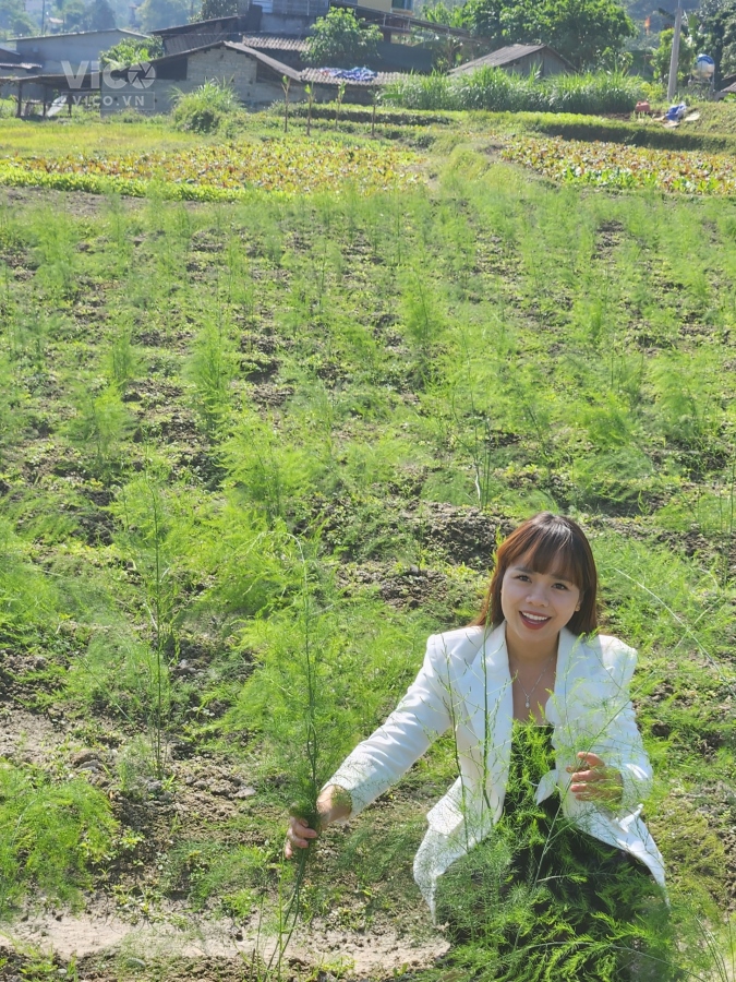 Đất nền NN đa dụng Trồng nông sản giá trị cao tại Bát Xát Lào Cai giá chỉ 300tr