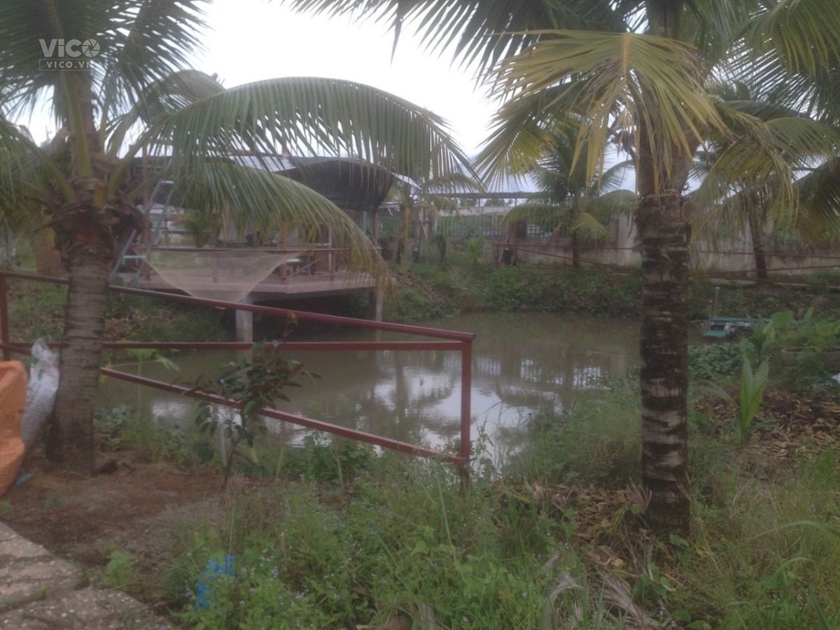 Biệt Thự Sân Vườn Mặt Tiền 2000m2 Cho Thuê