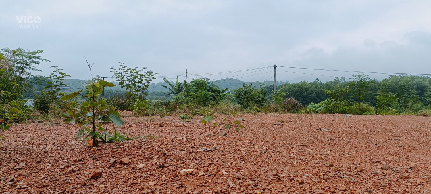 Chính Chủ nhờ bán giúp 1200m Mặt Tiền Đường Oto Tránh, View Cánh Đồng Dịu Êm, Gần Đường QL