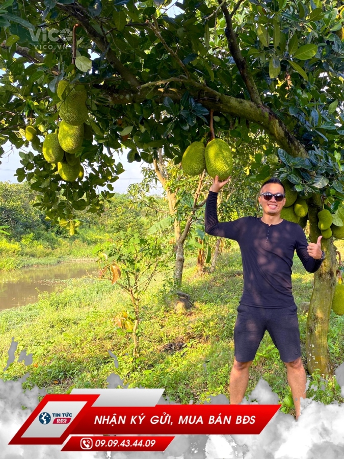 BÁN ĐẤT XÃ NGỌC ĐỊNH HUYỆN ĐỊNH QUÁN, ĐƯỜNG BÊ TÔNG HOTLINE 0909434409