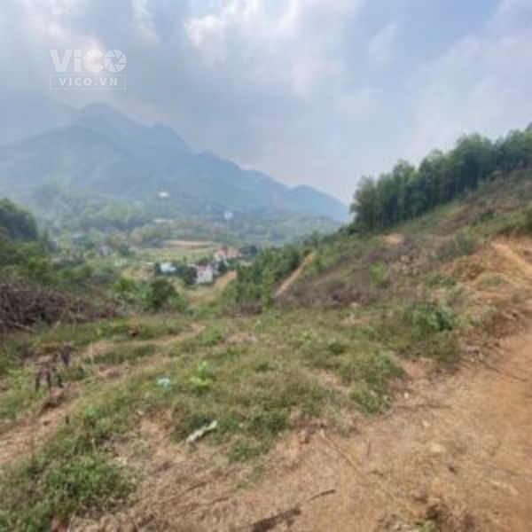 CHÍNH CHỦ CẦN BÁN GẤP LÔ ĐẤT TẠI YÊN TRUNG THẠCH THẤT HÀ NỘI