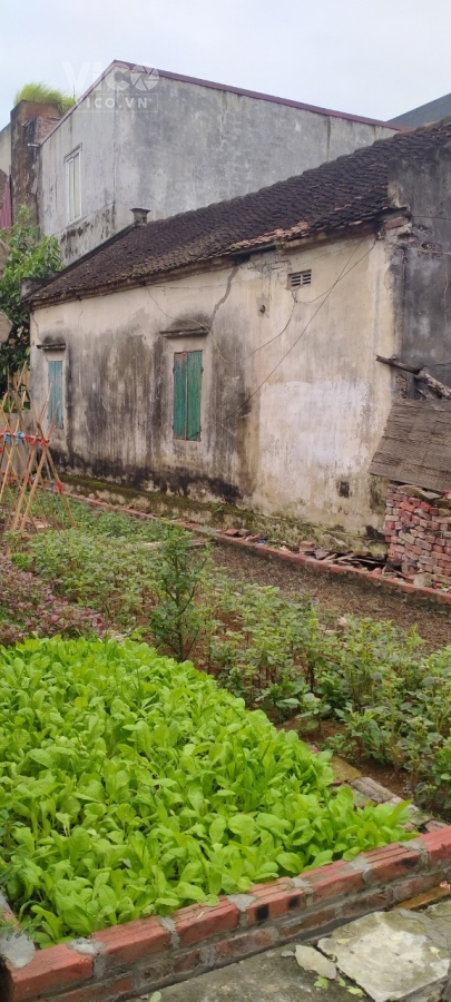 Cần bán đất Thụy Lâm, Đông Anh, ô tô, kinh doanh, giá nhỉnh 3 tỷ