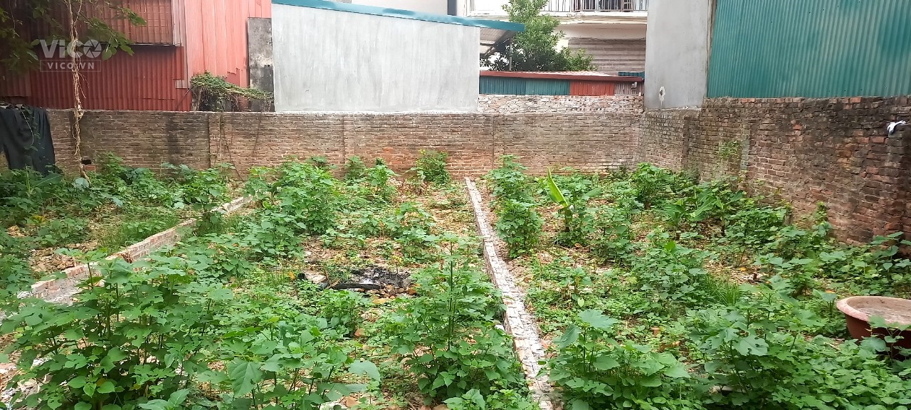 BÁN ĐẤT TẠI LIÊN NINH, THANH TRÌ. Diện tích 4.1x15 giá 42tr/m