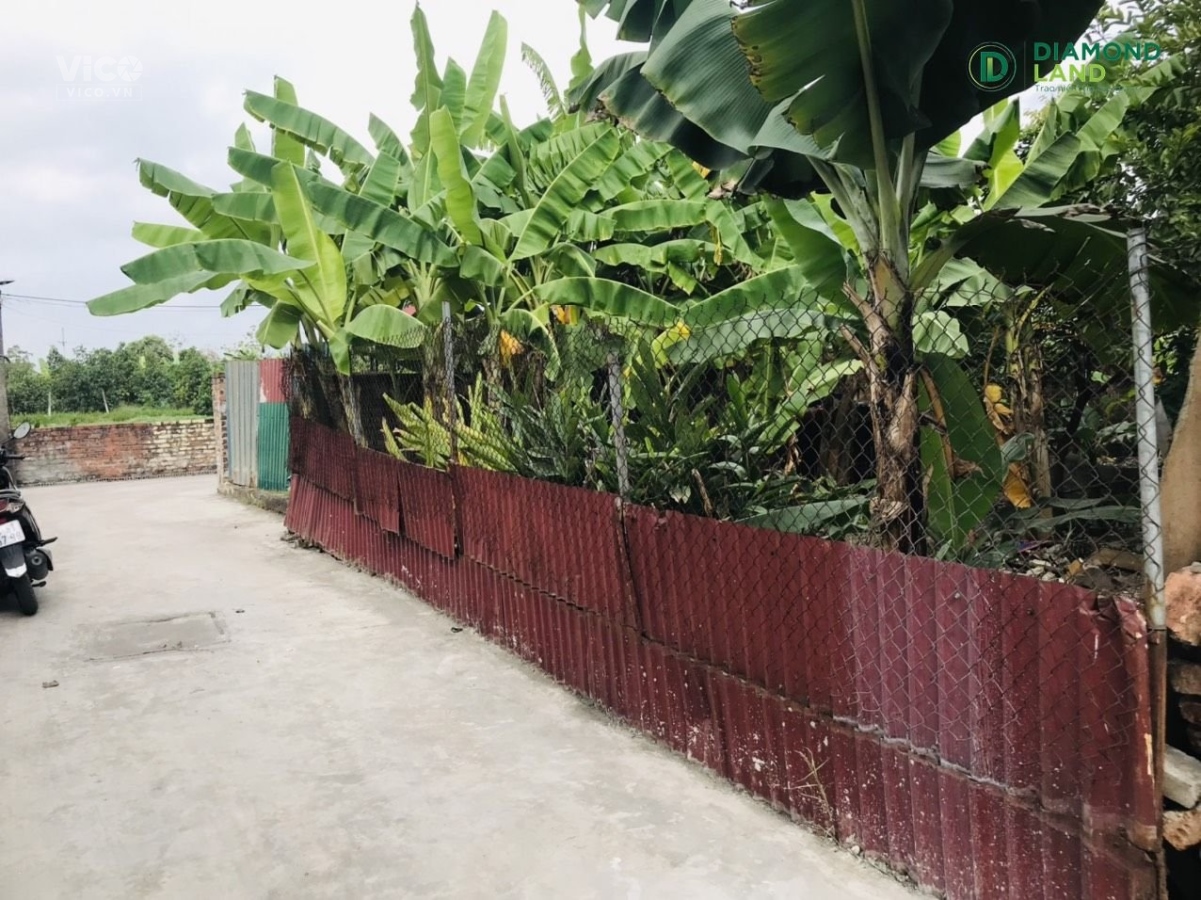 chính chủ xuống giá cực sâu 99m tại Thế Trạch Mai Đình .oto đỗ đất giá chỉ 14tr/m