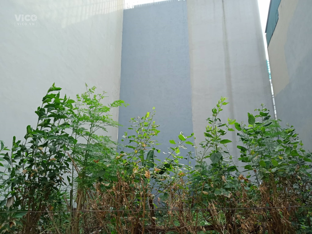 Bán đất đấu giá Mậu Lương, Hà Đông, 60m2, mt5m, ô tô vỉa hè giá 6 tỷ