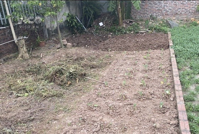 (Bán gấp) 65M2 tại Đông Xuân, Sóc Sơn. Đường ô tô ngõ thông.