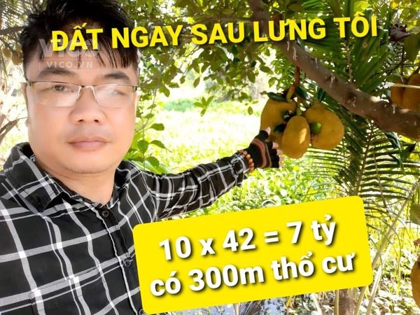 THƠM Xả Lỗ lô 10x42 chỉ 7 tỷ 145 Bình Mỹ Củ Chi TPHCM