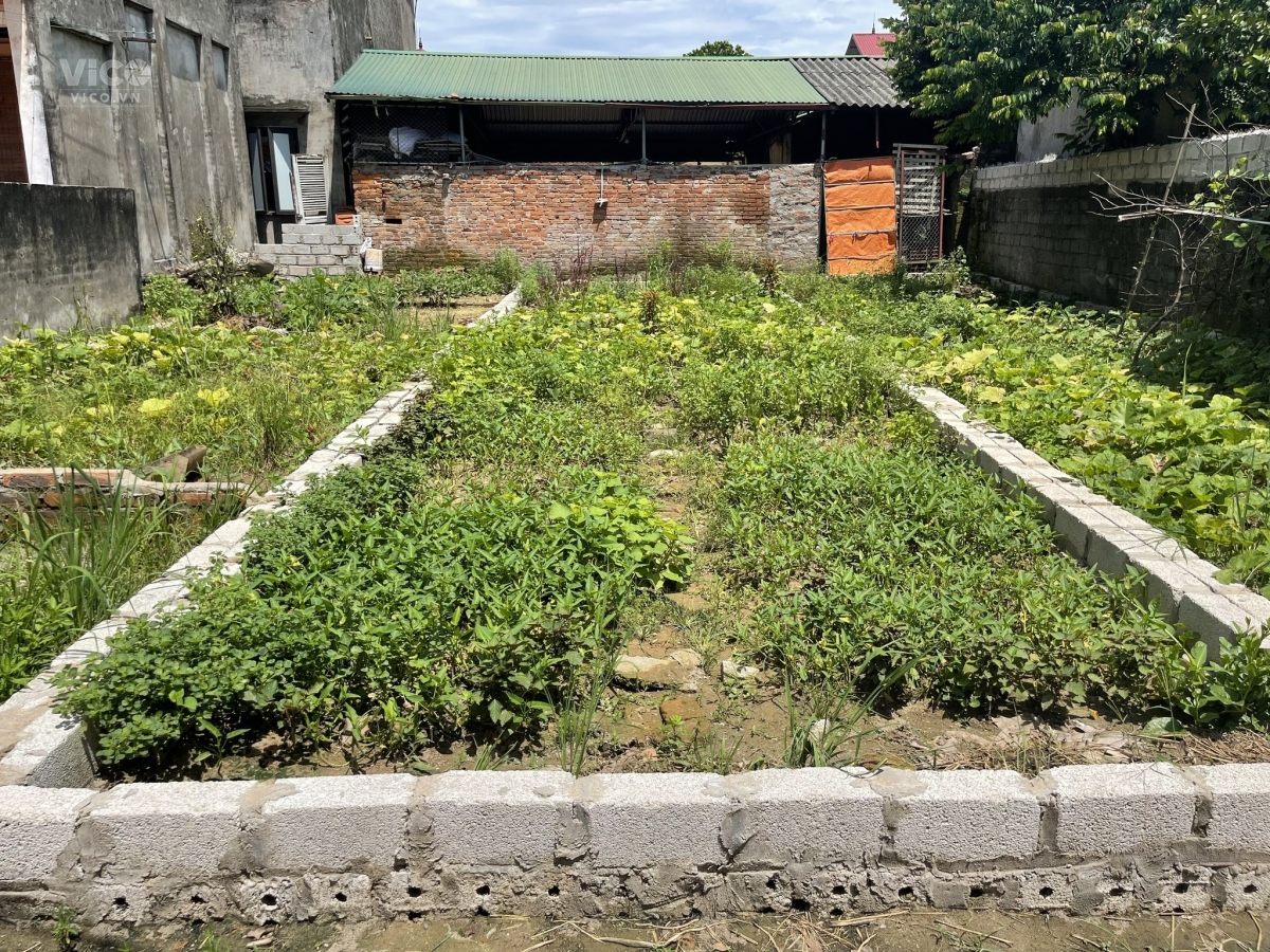 đất 149m tân ước