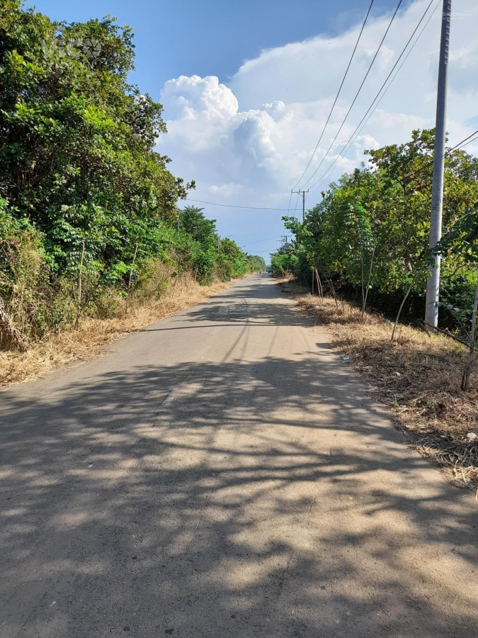 Chính chủ cần bán đất vườn đang trồng chuối, tiêu, điều nằm ngay bờ hồ Huyện Thống Nhất, Tỉnh Đồng